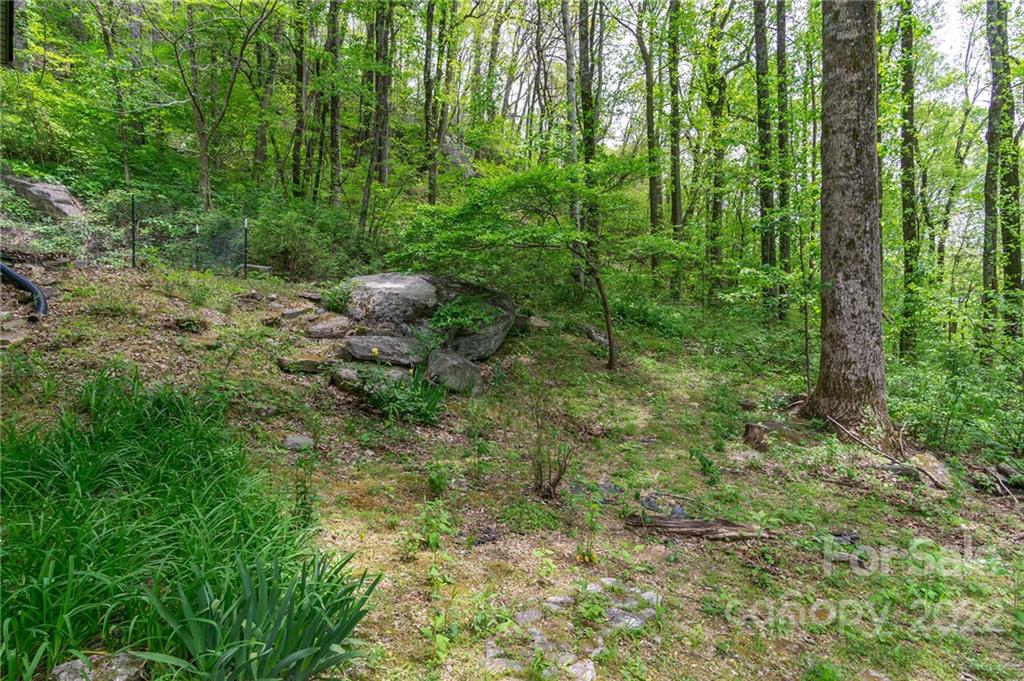 148 Locust Ridge Old Fort, NC 28762 - Photo 27 of 42 Gallery Image 27