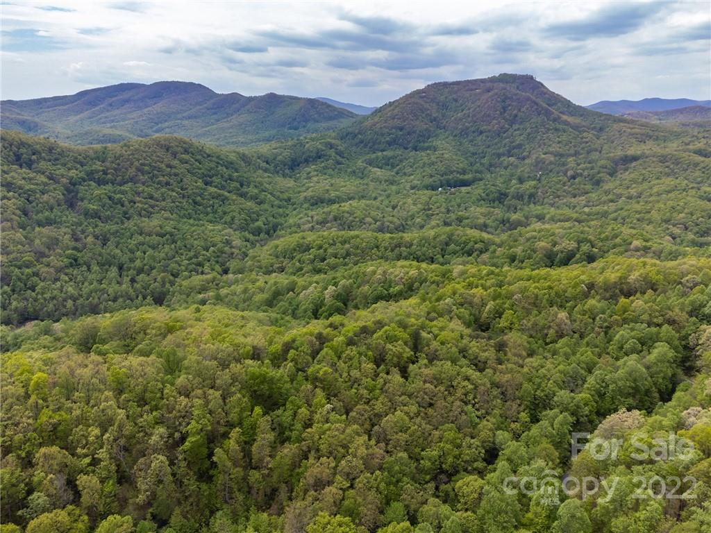 148 Locust Ridge Old Fort, NC 28762 - Photo 32 of 42 Gallery Image 32
