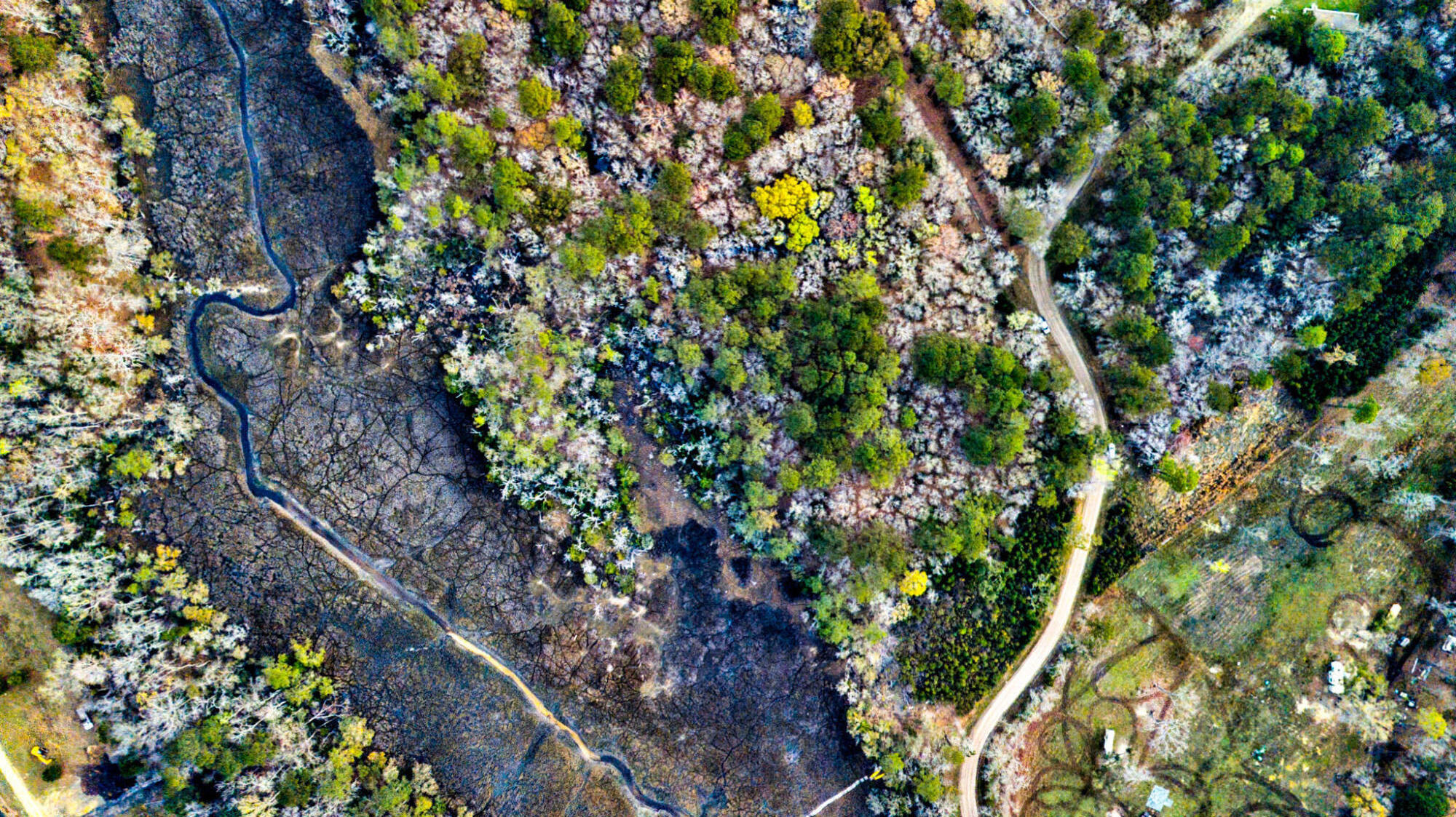 0 Cooke Road, Unit LOT 3 Johns Island, SC 29455 - Photo 4 of 5 Douglas - Cooke Drone - 3 - CMG