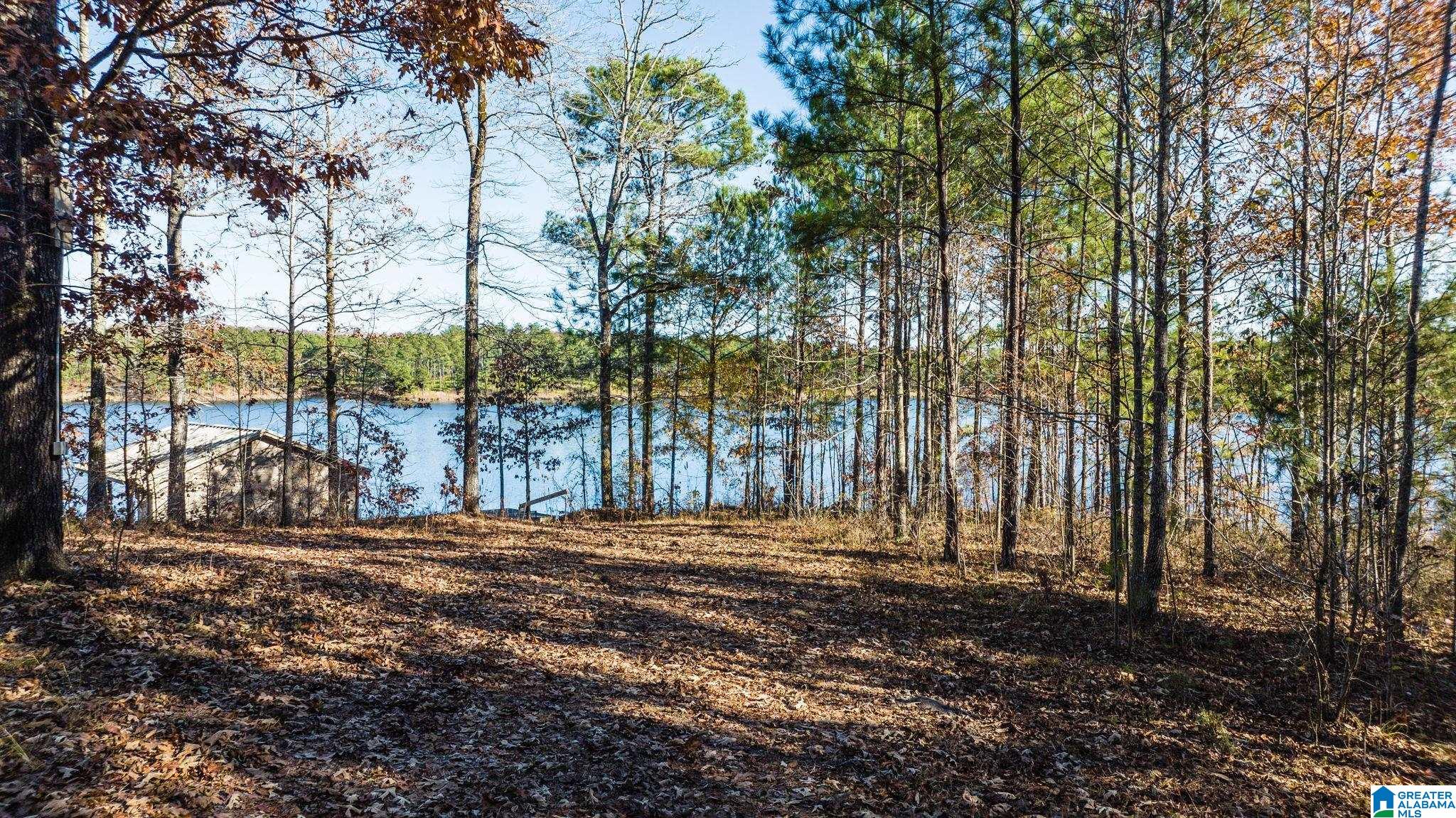 1140 Colleton Lake Road Vincent, AL 35178 - Photo 4 of 11 Gallery Image 4
