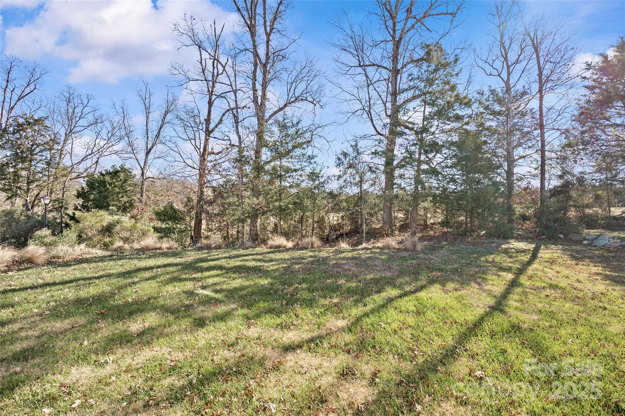 4146 Trowel Court Midland, NC 28107 - Photo 29 of 29 a view of a yard with large trees