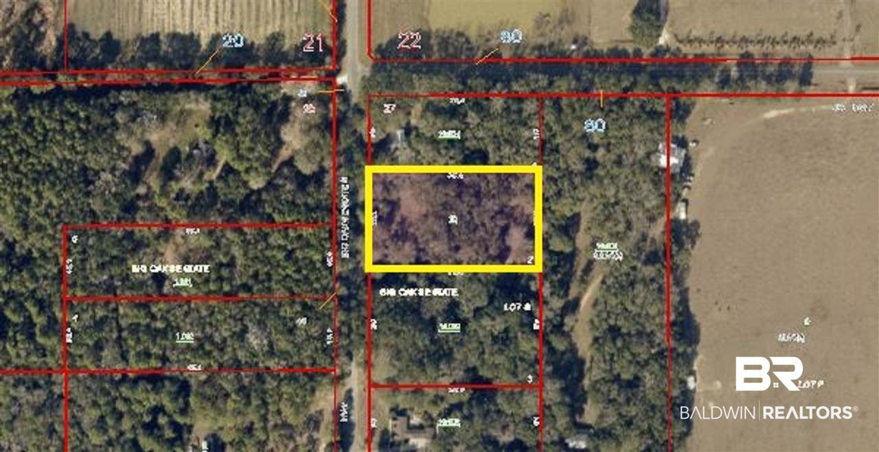 12910 County Road 49 Foley, AL 36535 - Photo 1 of 6