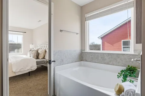 a bathroom with a tub and a potted plant