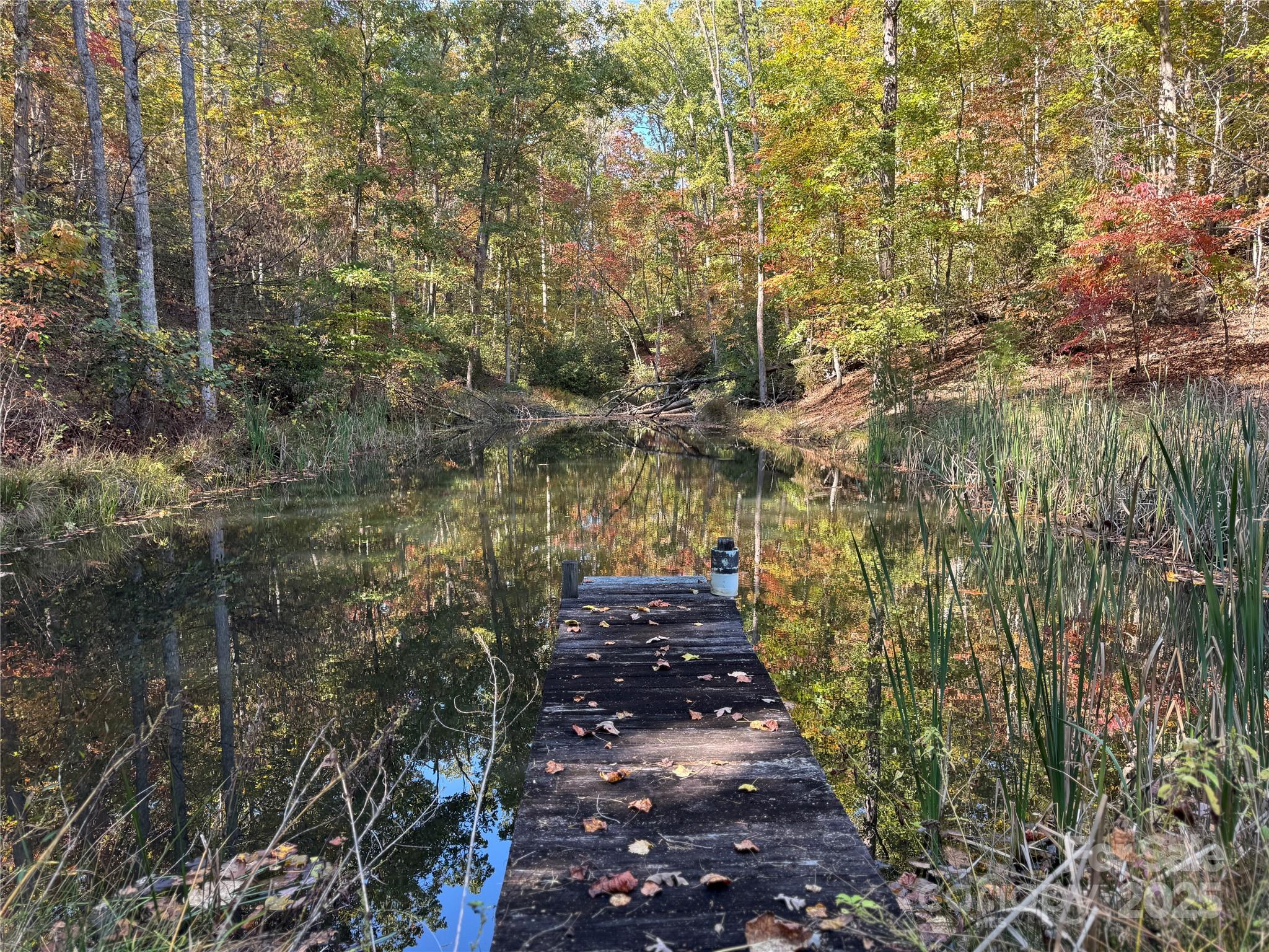 147 Helton Lane Mill Spring, NC 28756 - Photo 1 of 25 a view of a pathway both side of yard