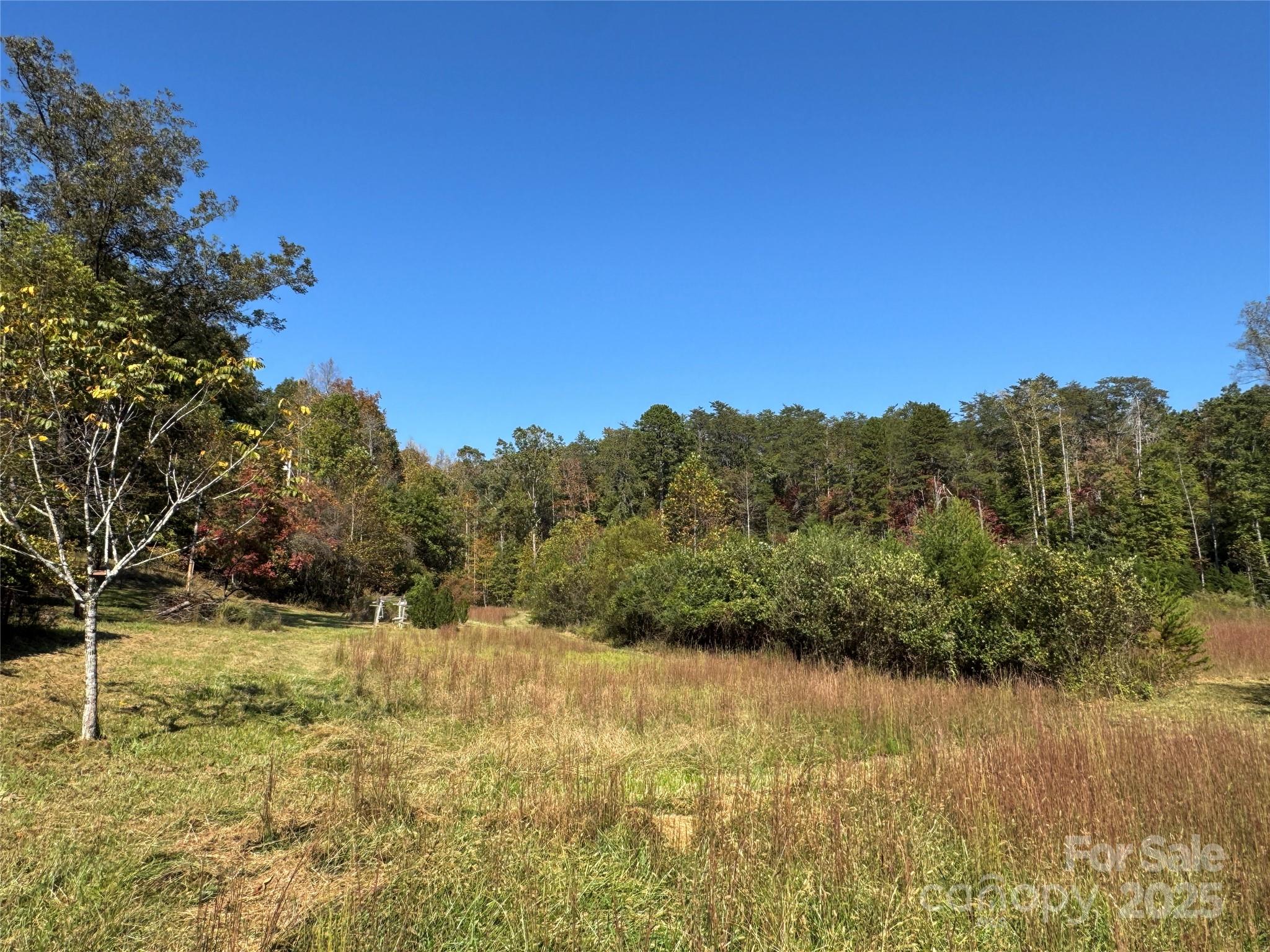 147 Helton Lane Mill Spring, NC 28756 - Photo 6 of 25 a view of mountain view with mountains in the background