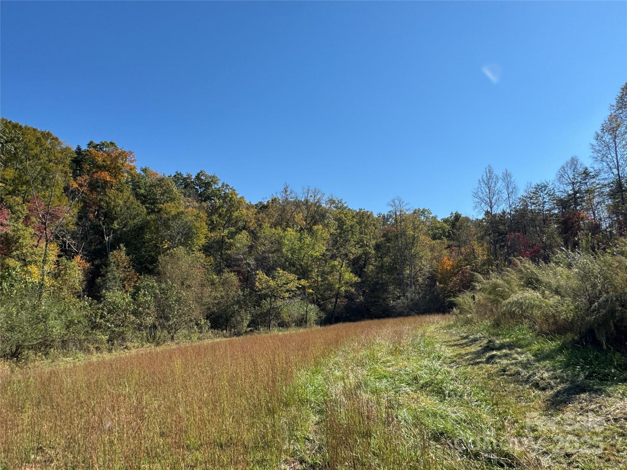 147 Helton Lane Mill Spring, NC 28756 - Photo 7 of 25 a view of a yard with a mountain
