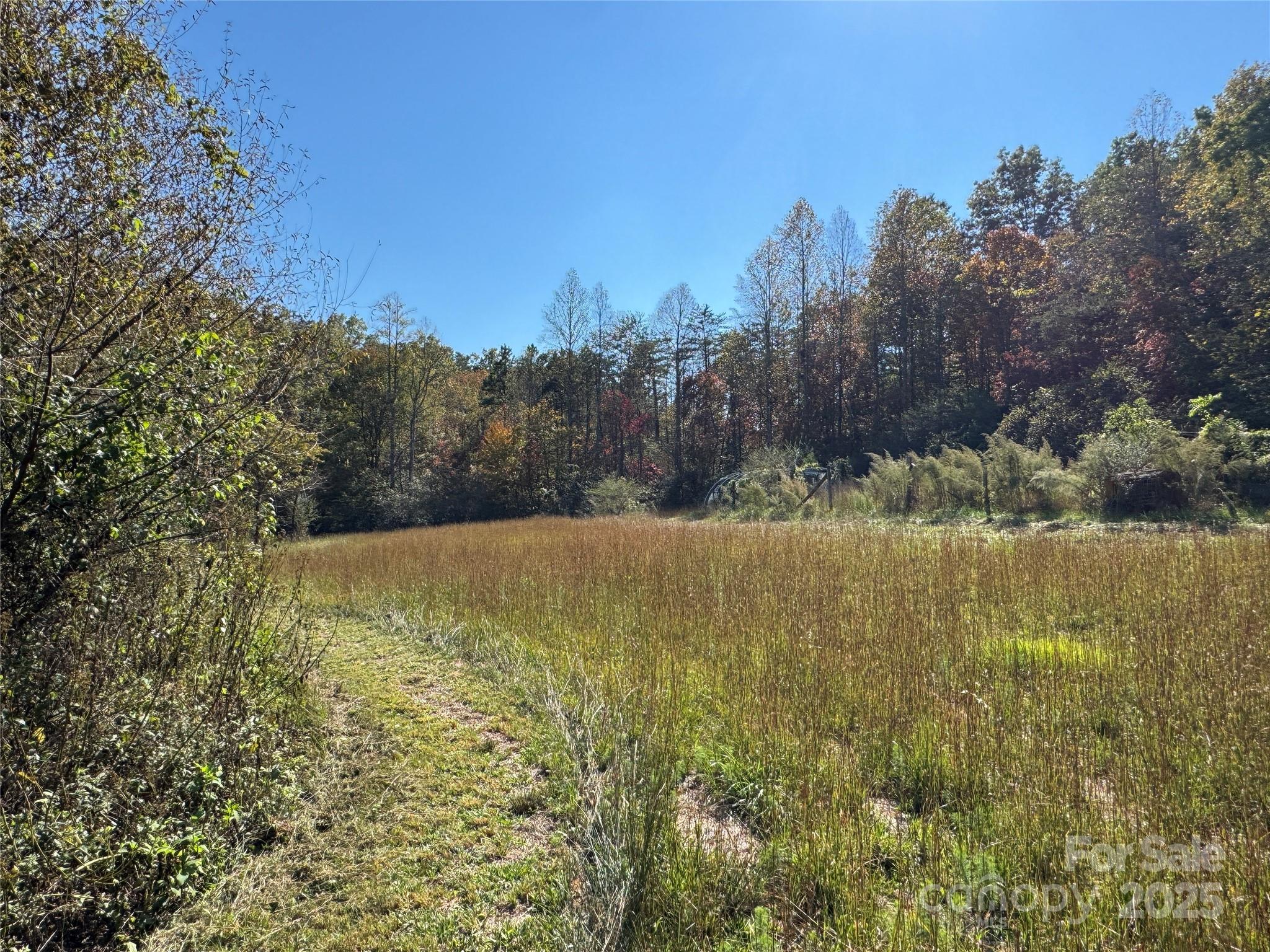 147 Helton Lane Mill Spring, NC 28756 - Photo 9 of 25 a view of a lake view