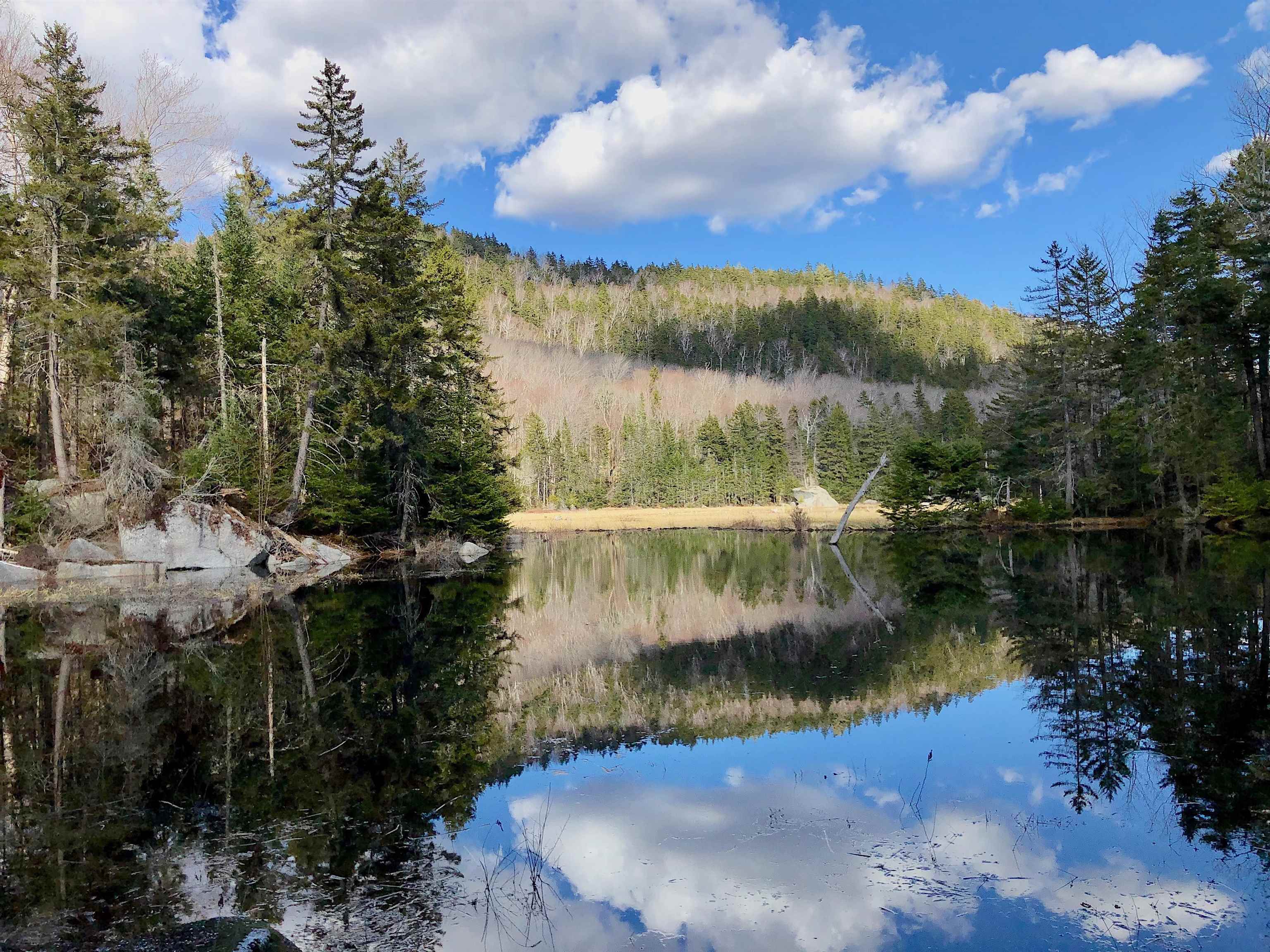 768 Doetown Road Rumney, NH 03266 - Photo 13 of 60