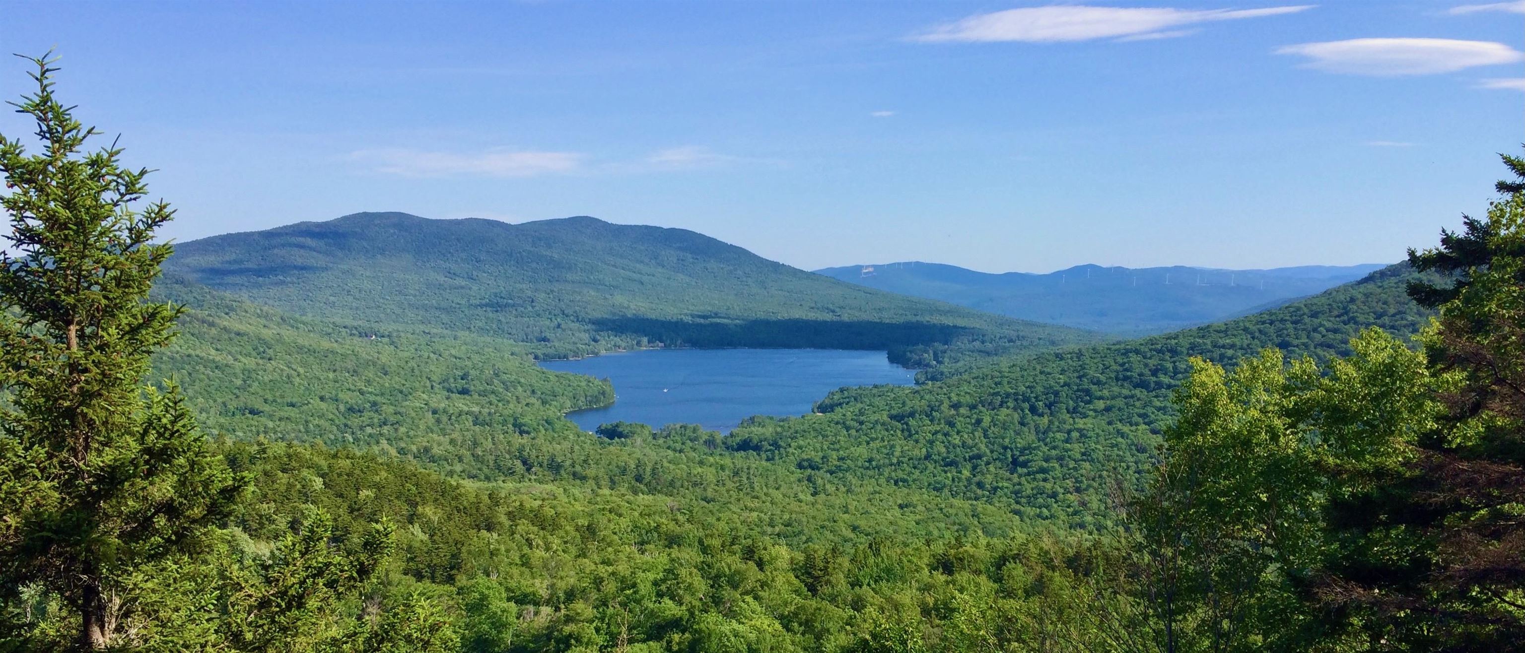 768 Doetown Road Rumney, NH 03266 - Photo 57 of 60