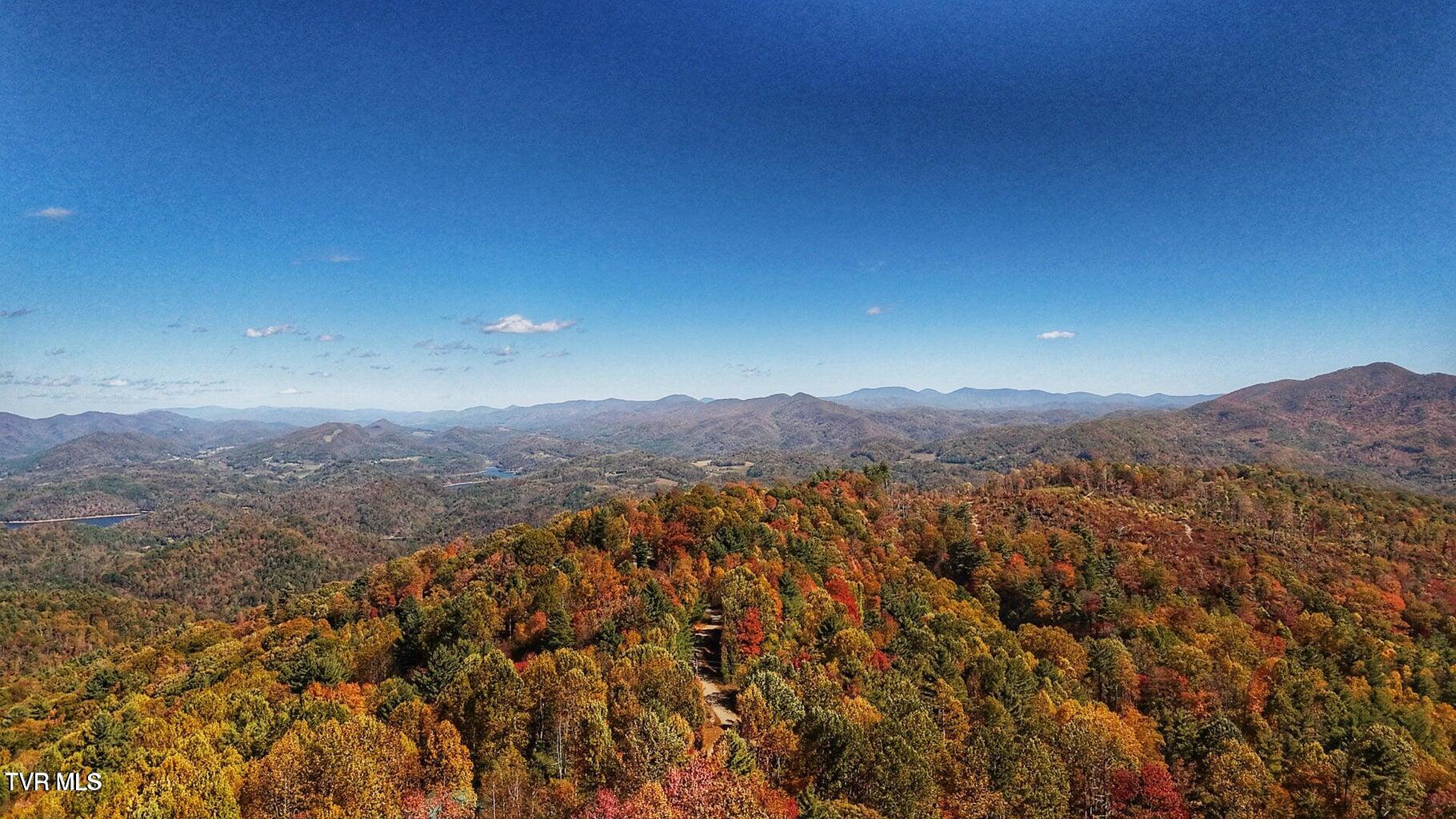 1213 Mays Ridge Road Butler, TN 37640 - Photo 14 of 19 HeartwoodAutview