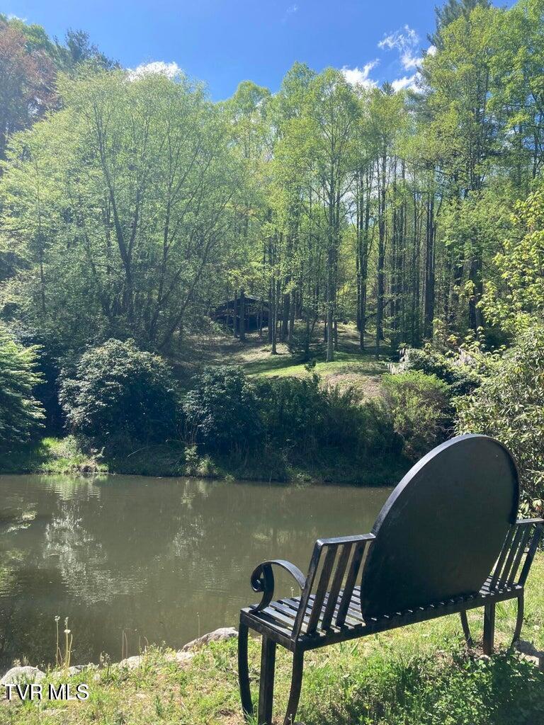 1213 Mays Ridge Road Butler, TN 37640 - Photo 17 of 19 HeartwoodPond2