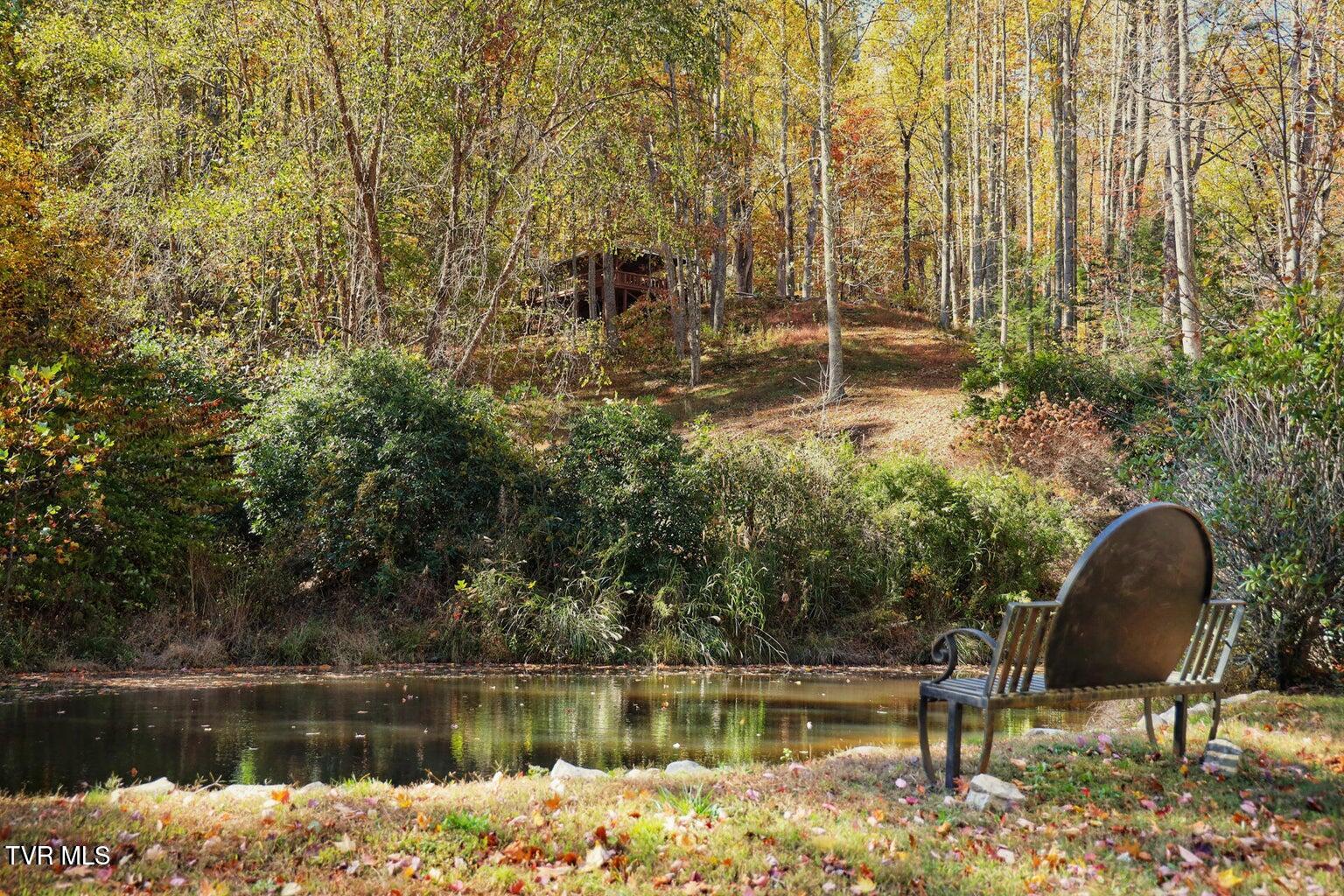 1213 Mays Ridge Road Butler, TN 37640 - Photo 18 of 19 HeartwoodPondView