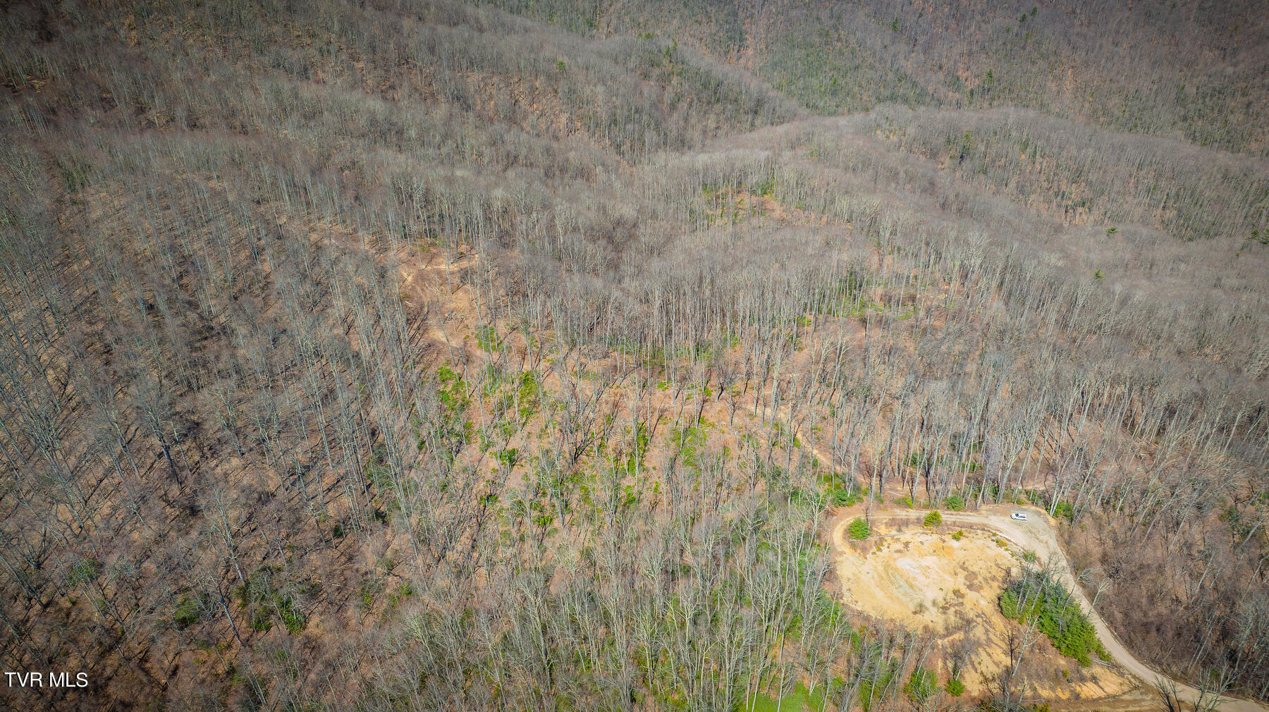 1213 Mays Ridge Road Butler, TN 37640 - Photo 5 of 19 002