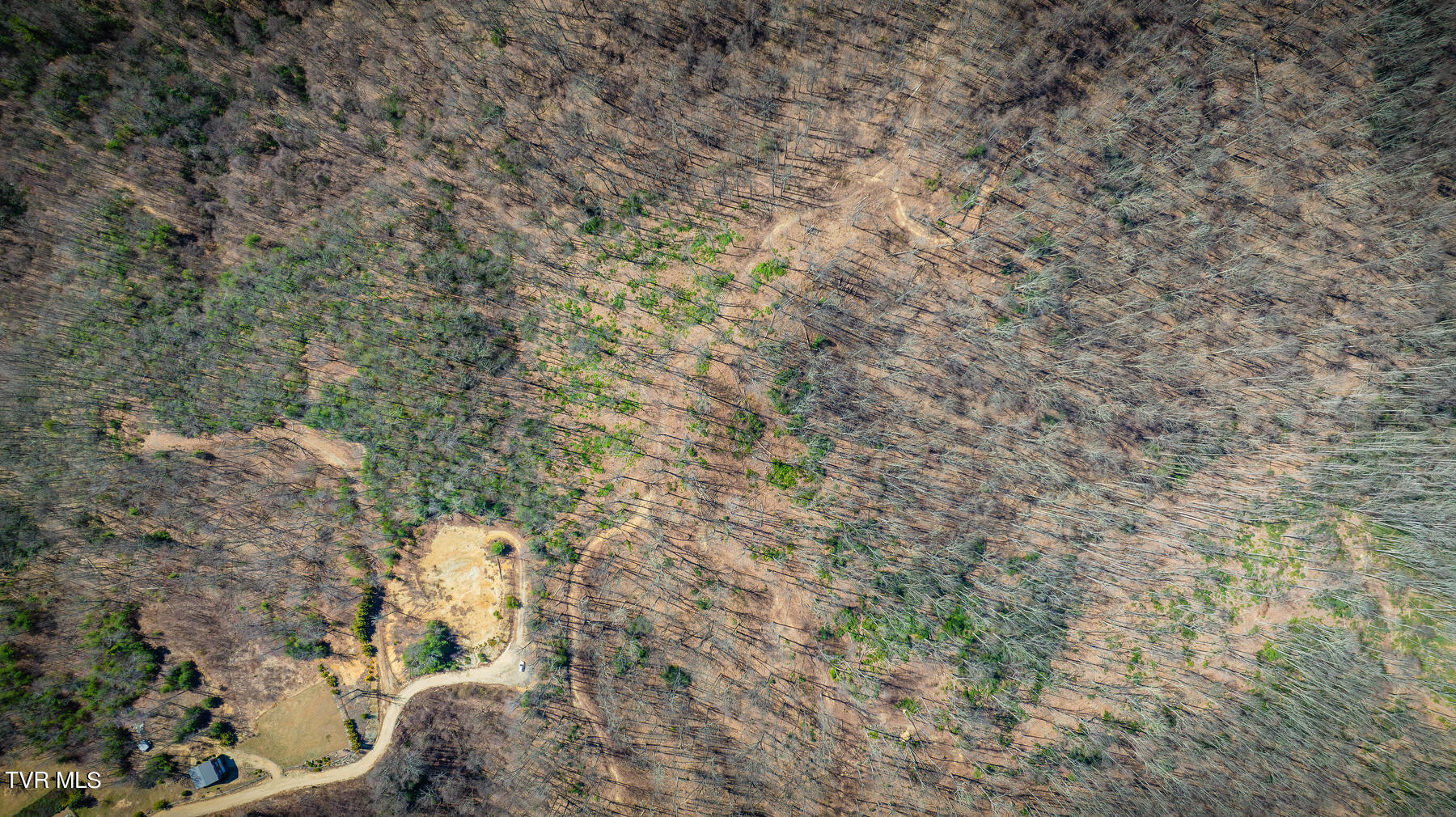 1213 Mays Ridge Road Butler, TN 37640 - Photo 6 of 19 003