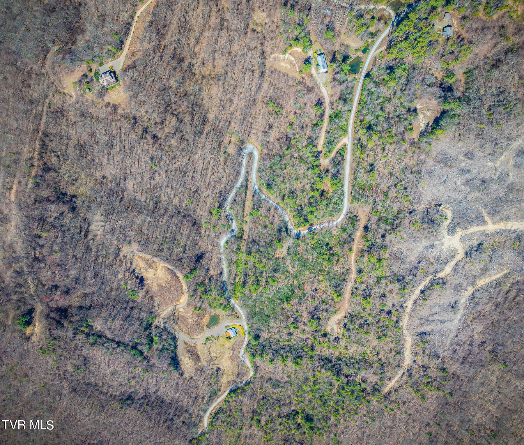 1213 Mays Ridge Road Butler, TN 37640 - Photo 9 of 19 Heartwoodpano