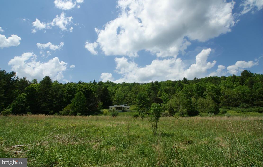 1734 Back Creek Road Gore, VA 22637 - Photo 3 of 27 Exterior (General)