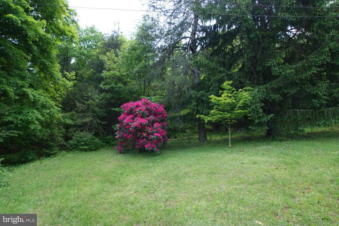 1734 Back Creek Road Gore, VA 22637 - Photo 21 of 27 Exterior (General)