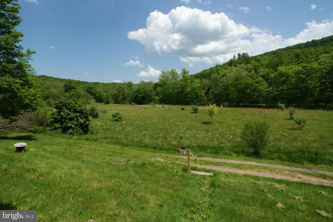 1734 Back Creek Road Gore, VA 22637 - Photo 22 of 27 Exterior (General)