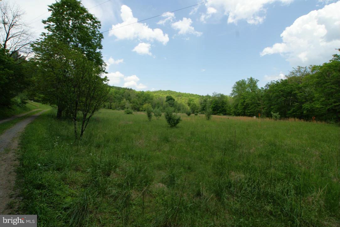 1734 Back Creek Road Gore, VA 22637 - Photo 26 of 27 Exterior (General)