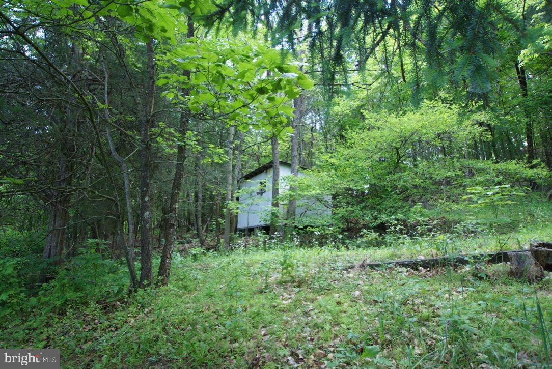 1734 Back Creek Road Gore, VA 22637 - Photo 27 of 27 Exterior (General)