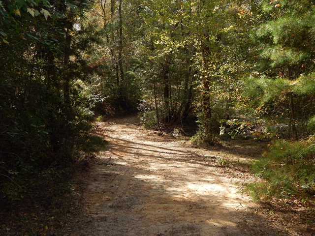 0 Ginntown Road Tylertown, MS 39667 - Photo 12 of 16 Photo 12