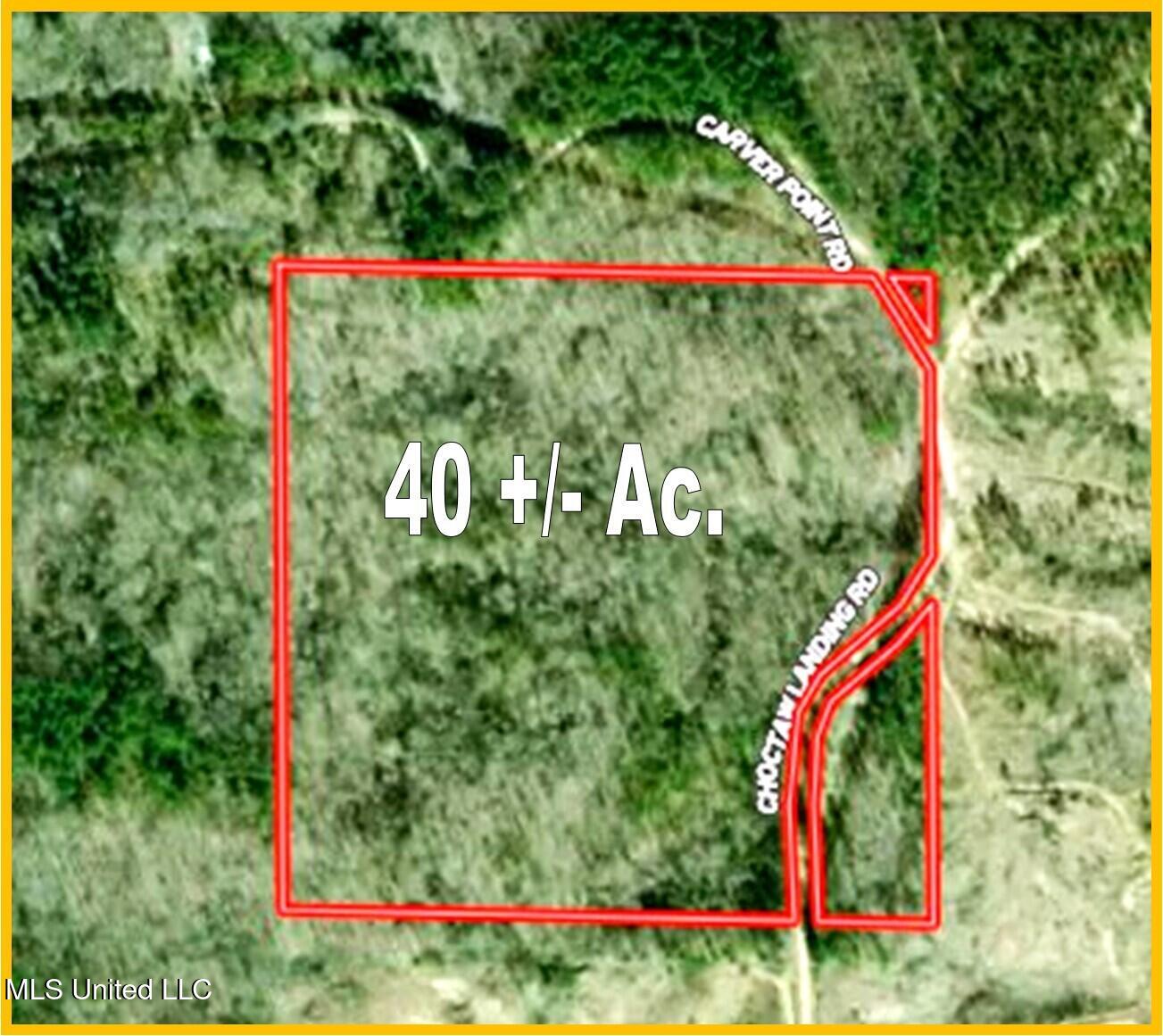 9815 Choctaw Landing Road Coffeeville, MS 38922 - Photo 2 of 39 Aerial Map