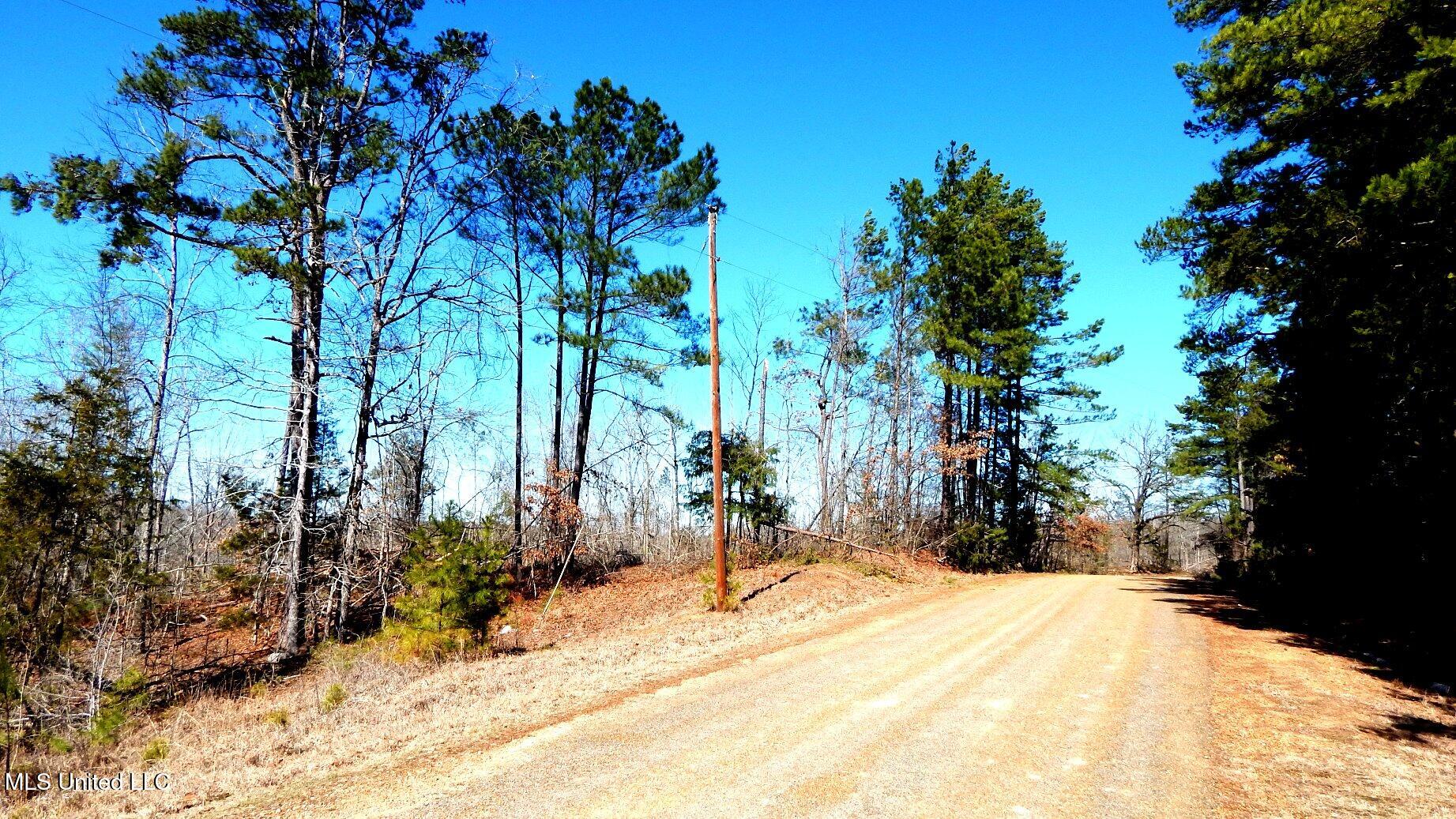 9815 Choctaw Landing Road Coffeeville, MS 38922 - Photo 23 of 39 DSCN7359