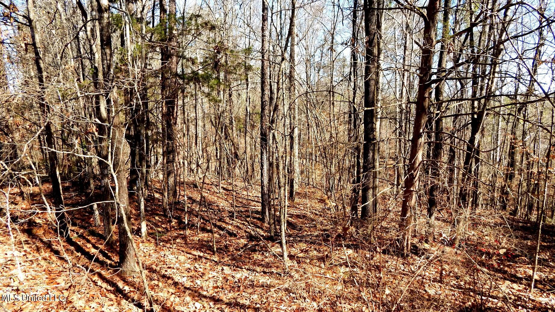 9815 Choctaw Landing Road Coffeeville, MS 38922 - Photo 24 of 39 DSCN7362