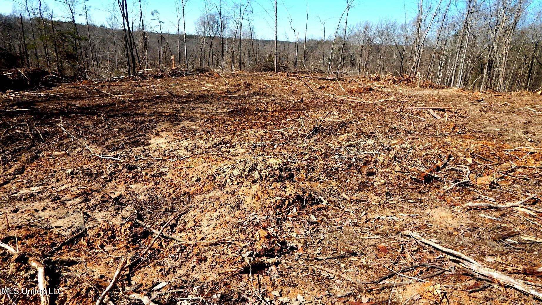 9815 Choctaw Landing Road Coffeeville, MS 38922 - Photo 29 of 39 DSCN7368