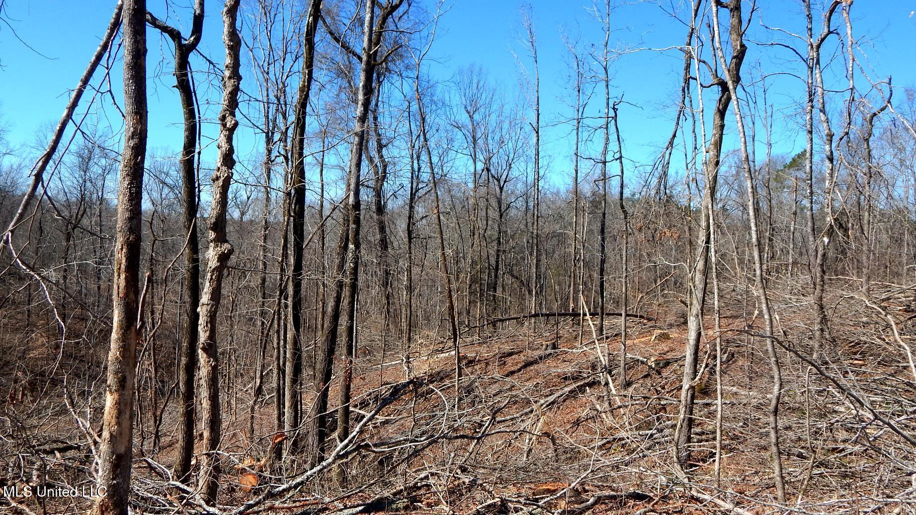 9815 Choctaw Landing Road Coffeeville, MS 38922 - Photo 32 of 39 DSCN7371