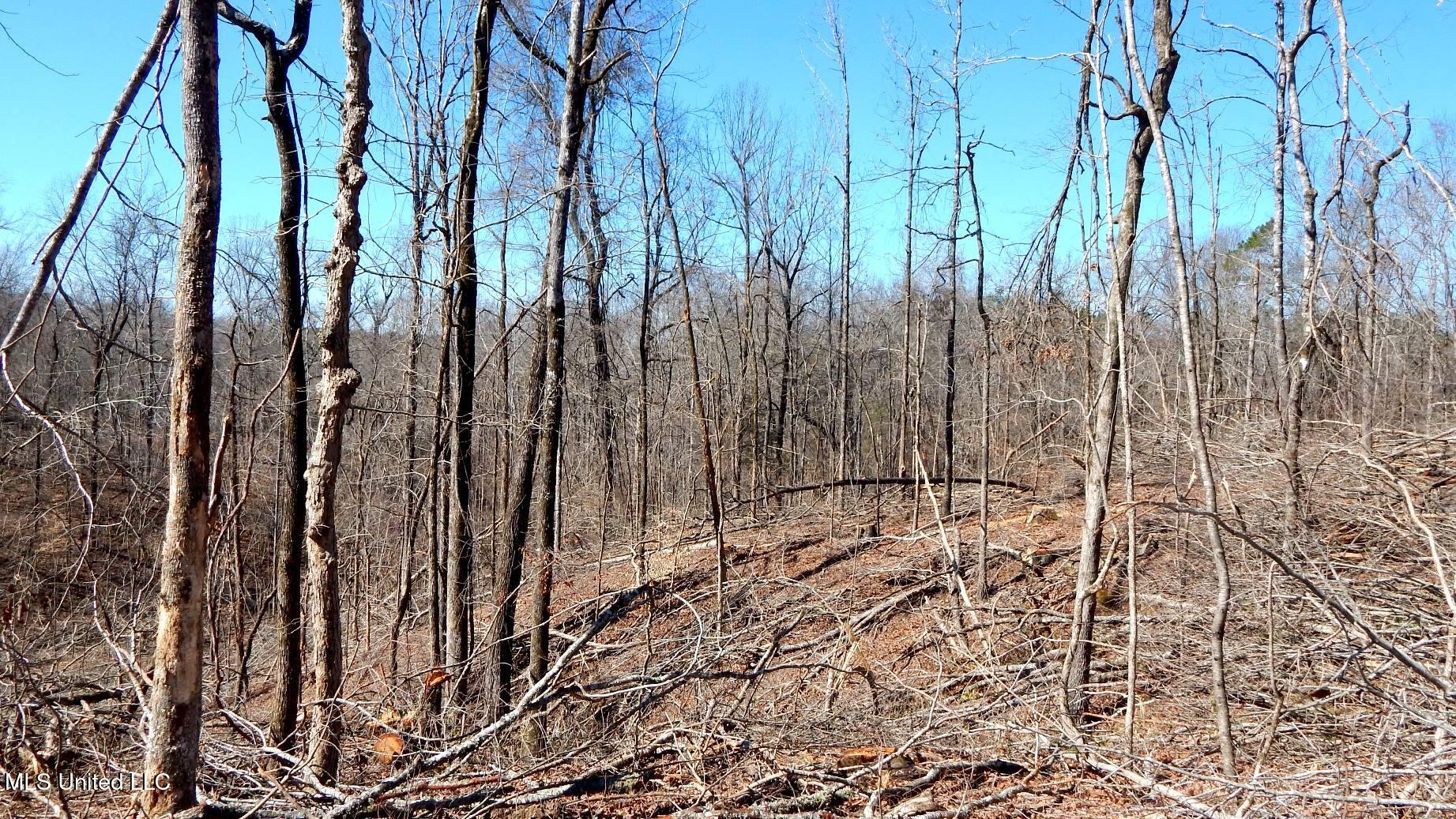 9815 Choctaw Landing Road Coffeeville, MS 38922 - Photo 33 of 39 DSCN7372