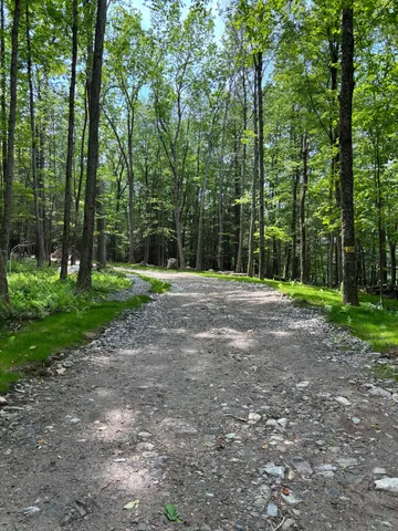 a view of outdoor space with trees all around
