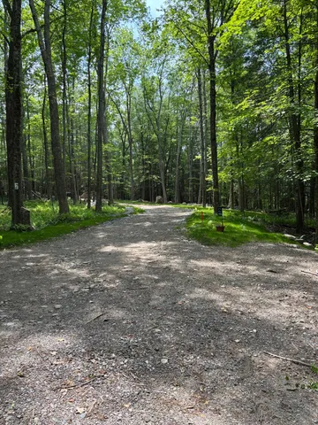 a view of a park with trees in the background