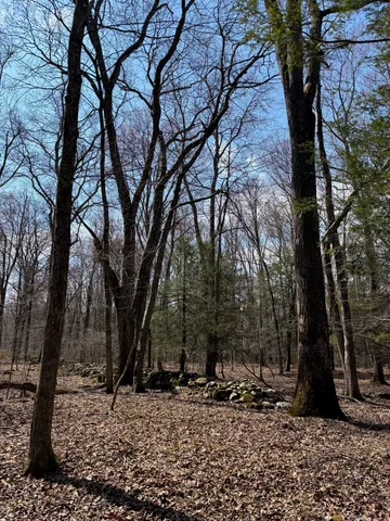 a backyard of a house with lots of trees