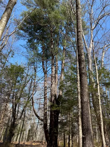 a picture of street view