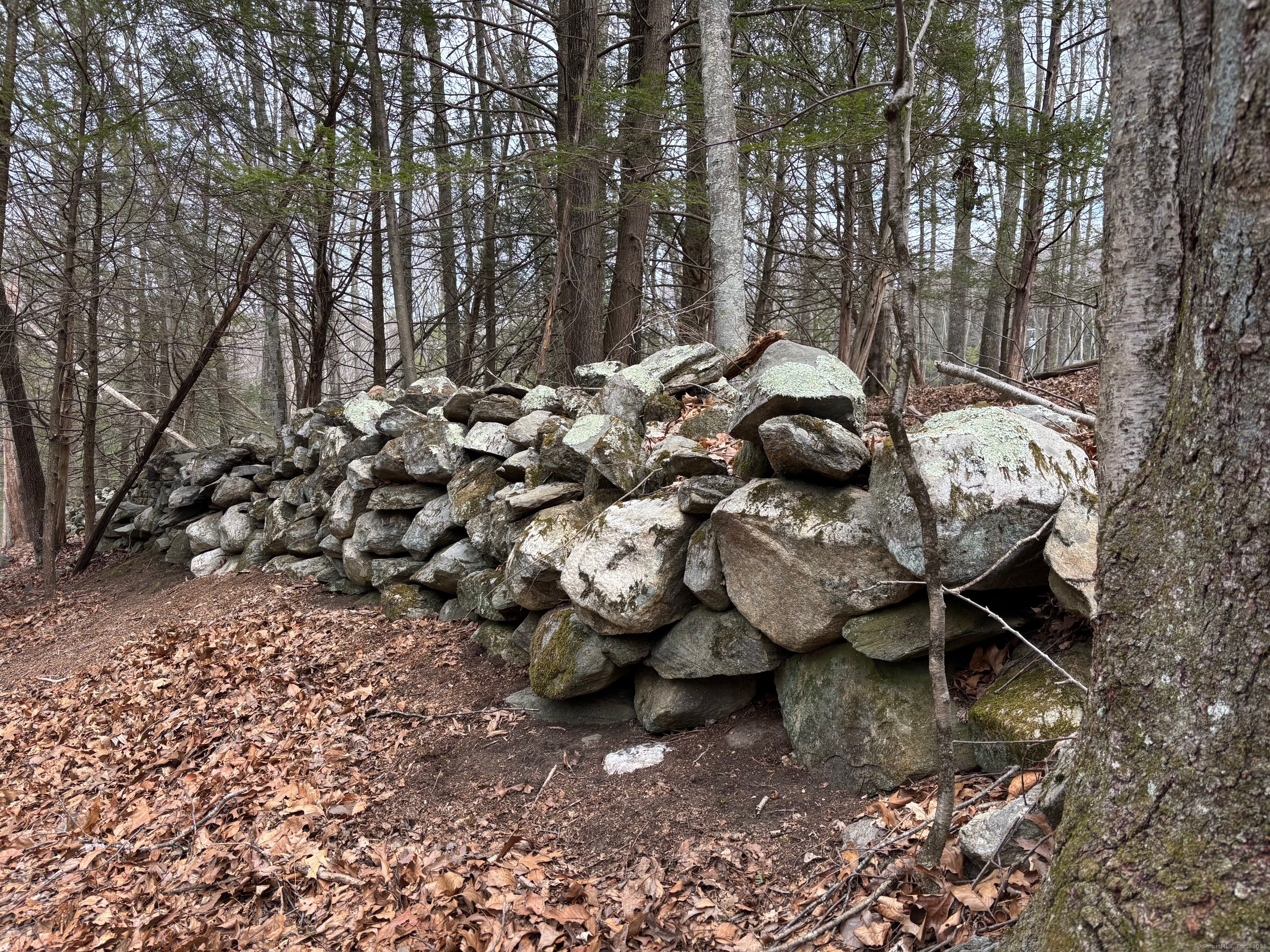 Lot 4 Chalybes Road West Roxbury, CT 06783 - Photo 8 of 11 a backyard of a house with table and chairs