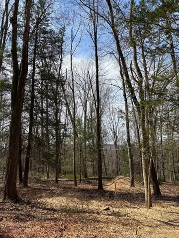 a backyard of a house with lots of trees