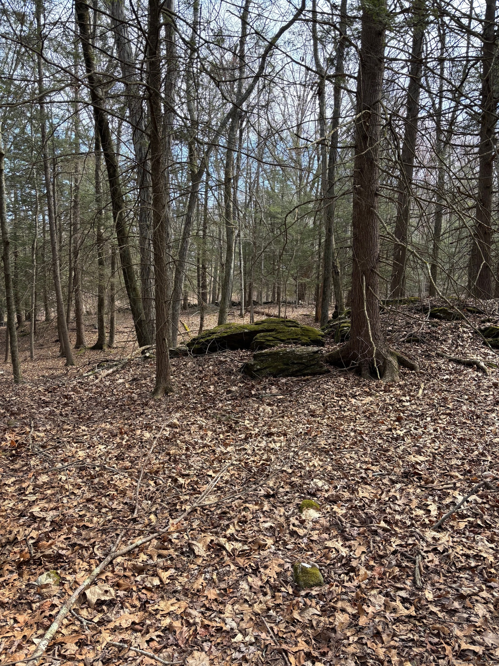 Lot 4 Chalybes Road West Roxbury, CT 06783 - Photo 10 of 11 a backyard of a house with lots of green space