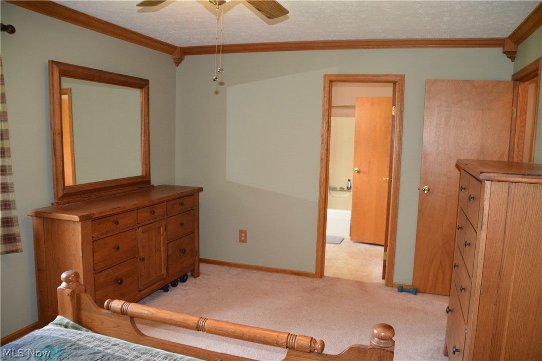 5910 Stuckey Road Creston, OH 44217 - Photo 19 of 30 Gallery Image 19