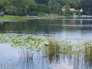 2803 Rogan Road Orlando, FL 32812 - Photo 2 of 16 Lake Tennessee