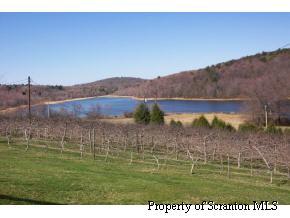 63 Church Road Wyoming, PA 18644 - Photo 3 of 6 a view of lake with mountain in the background