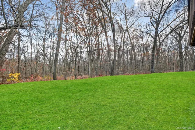 a view of a park with large trees