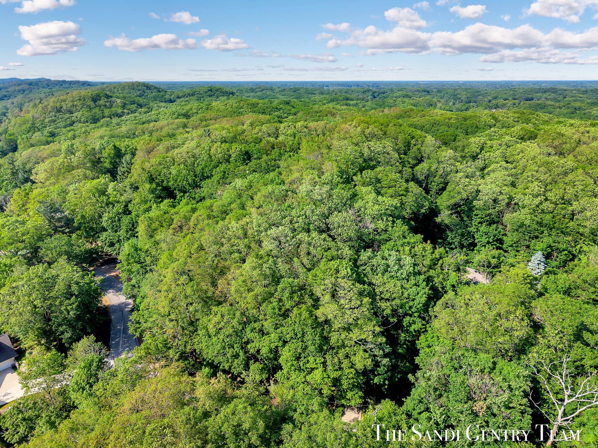 18200 North Shore Estates Road Spring Lake, MI 49456 - Photo 4 of 13 04-DJI_20250617173448_0393_D_KYLE
