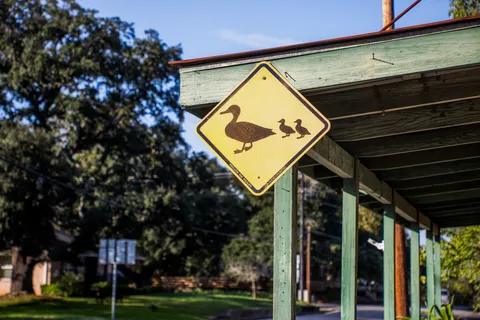 $164,241 | Tbd Tbd Sunny Hills Drive, Chappell Hill, TX 77426