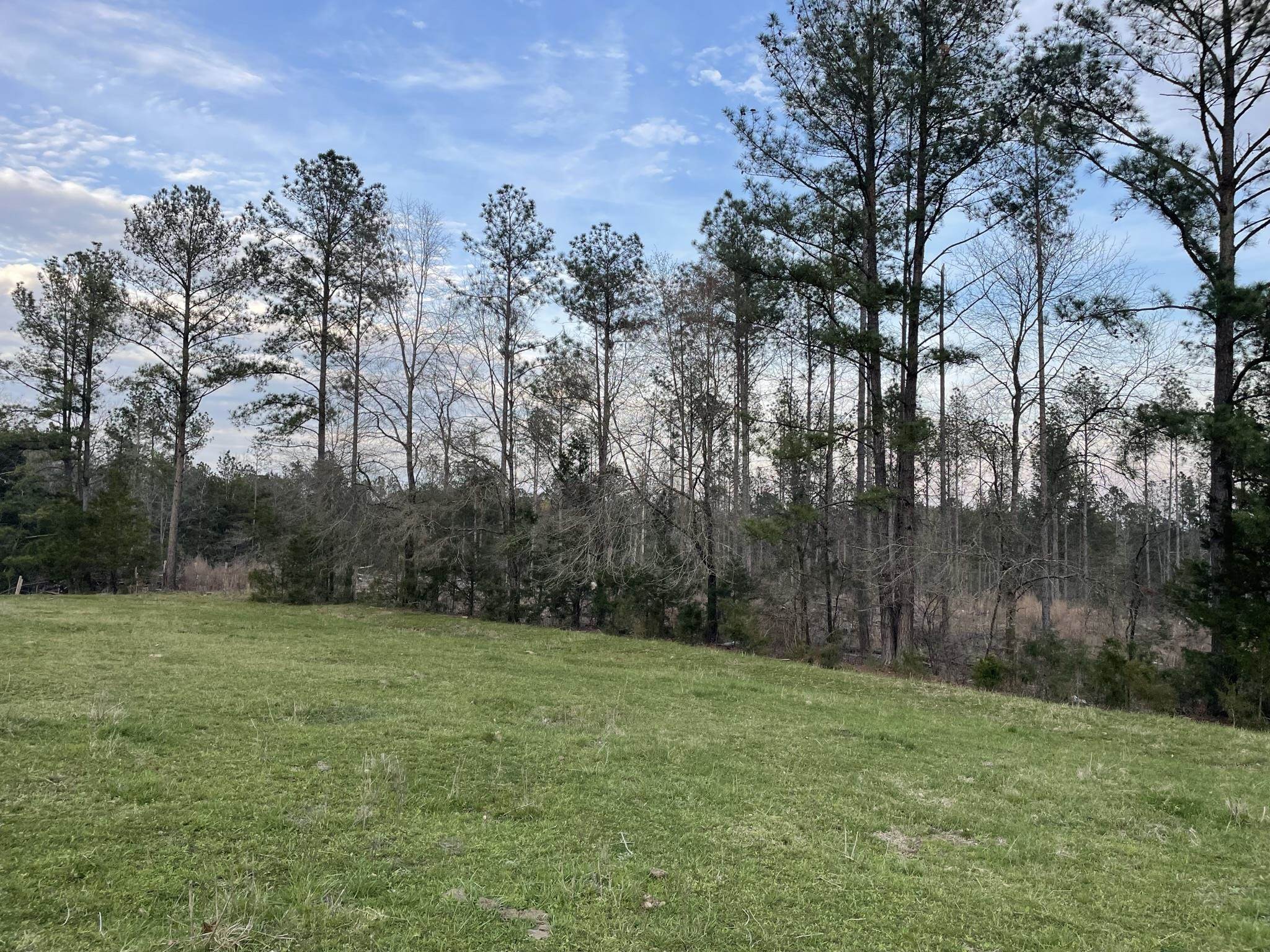 828 Tinker Creek Road Union, SC 29379 - Photo 18 of 33 Gallery Image 18