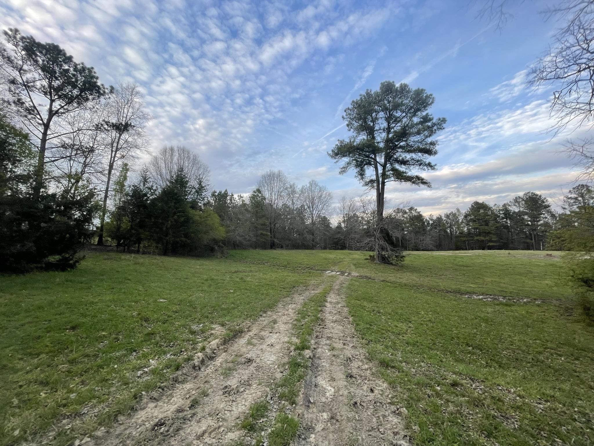 828 Tinker Creek Road Union, SC 29379 - Photo 21 of 33 Gallery Image 21