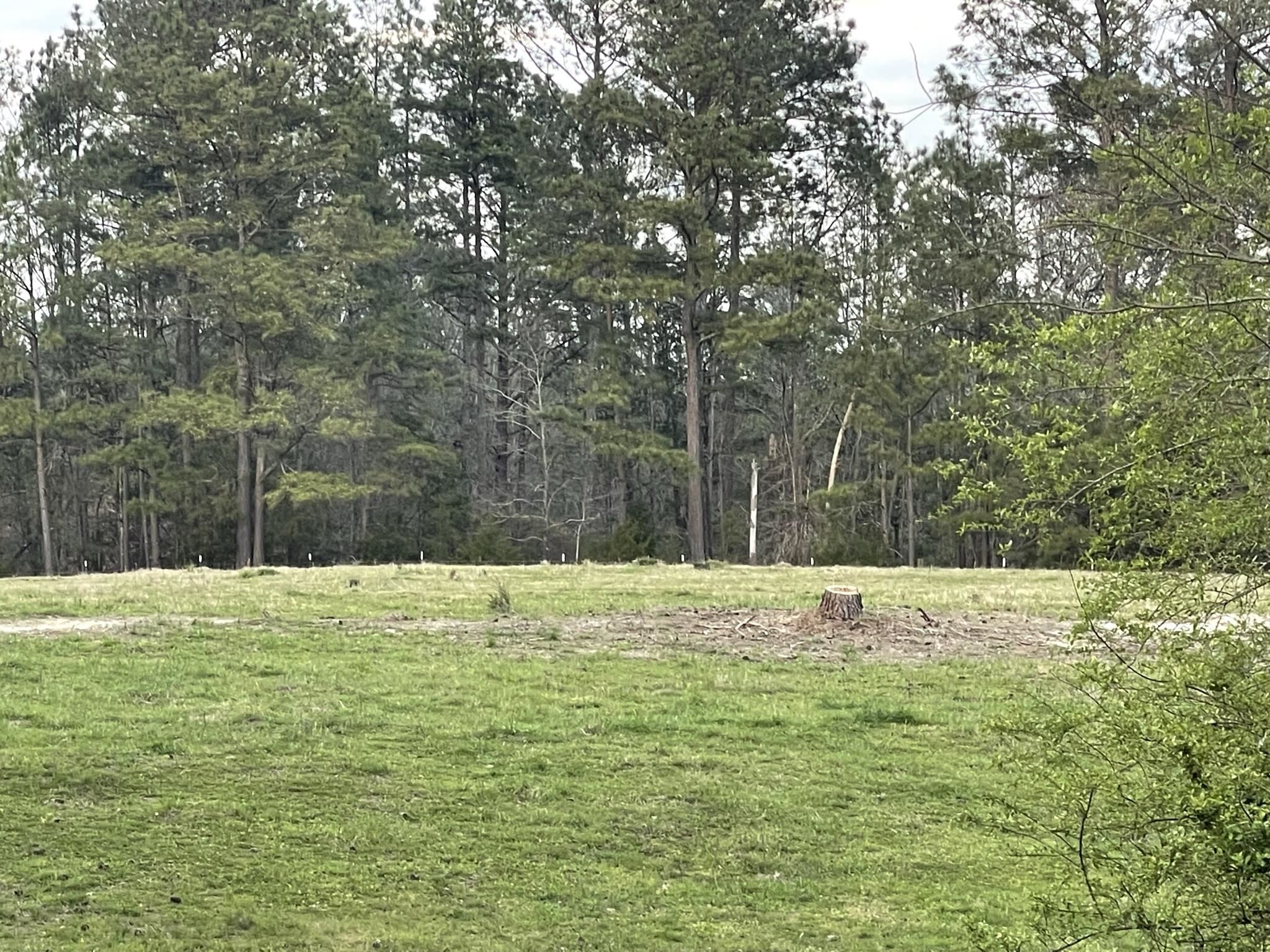 828 Tinker Creek Road Union, SC 29379 - Photo 22 of 33 Gallery Image 22