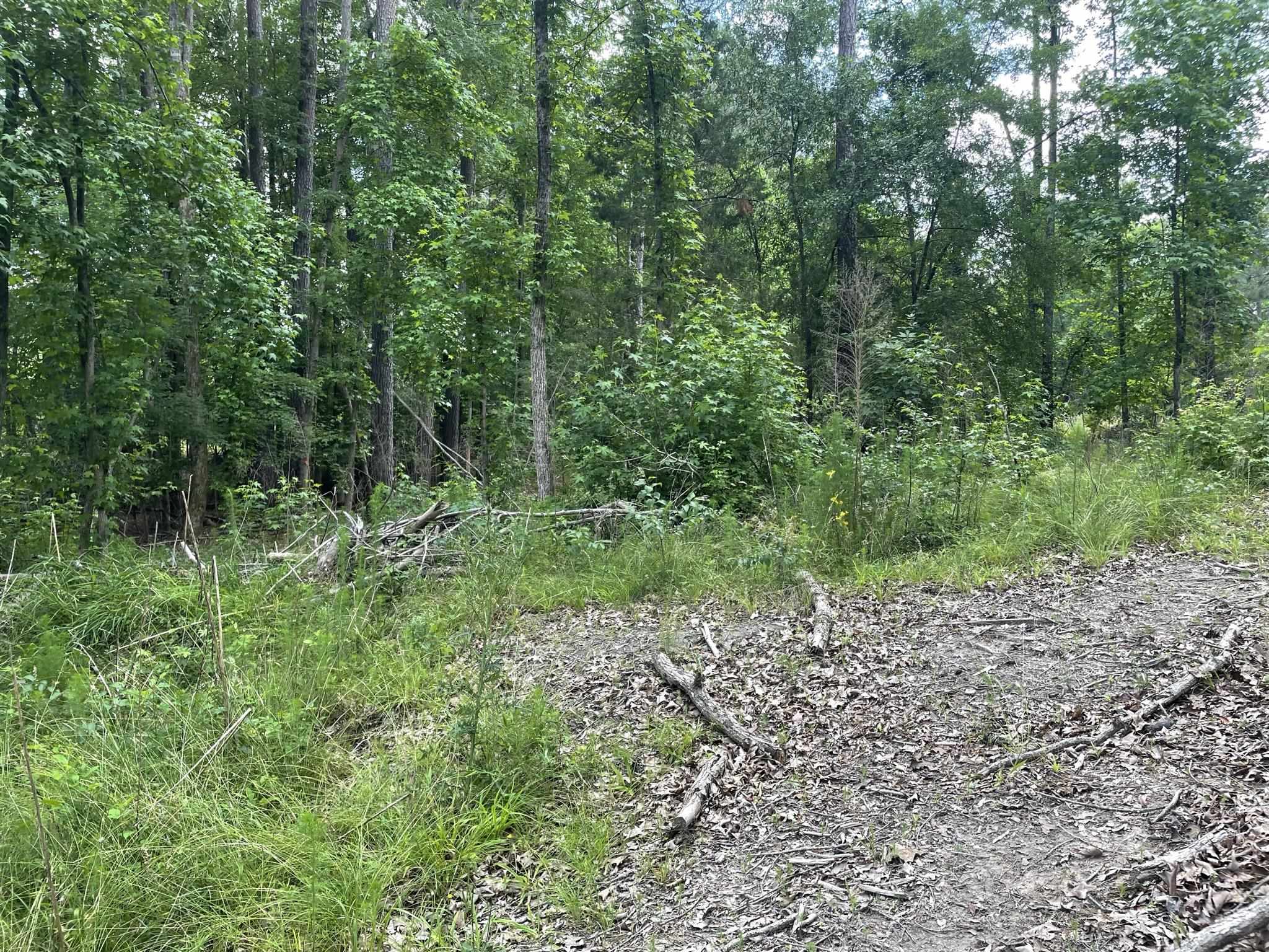 828 Tinker Creek Road Union, SC 29379 - Photo 24 of 33 Gallery Image 24