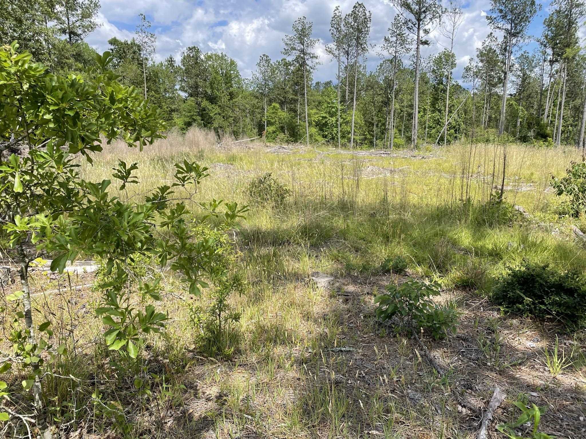 828 Tinker Creek Road Union, SC 29379 - Photo 26 of 33 Gallery Image 26