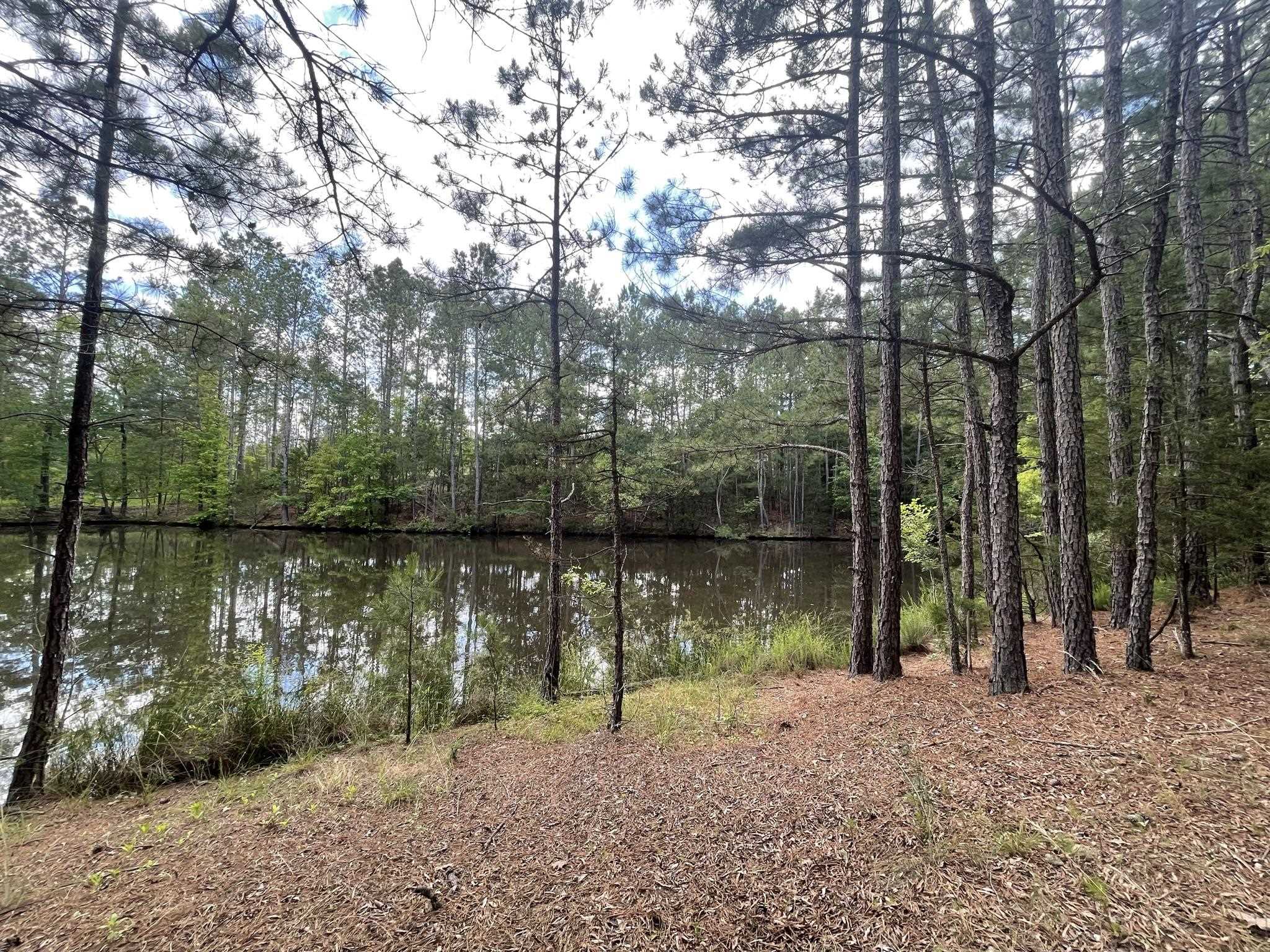 828 Tinker Creek Road Union, SC 29379 - Photo 9 of 33 Gallery Image 9